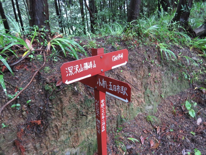 南沢あじさい山登山