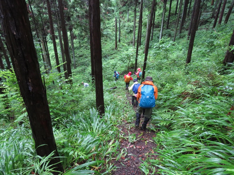 南沢あじさい山登山
