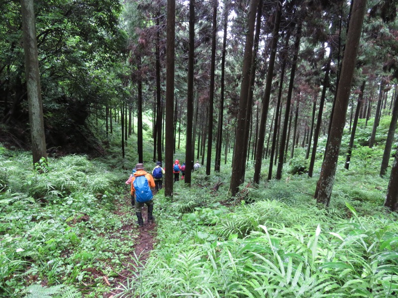 南沢あじさい山登山
