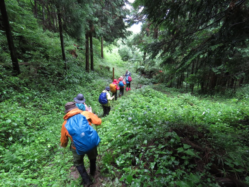 南沢あじさい山登山