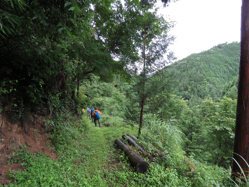 南沢あじさい山登山