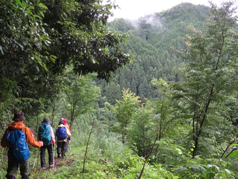 南沢あじさい山登山