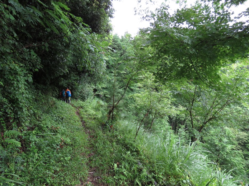 南沢あじさい山登山