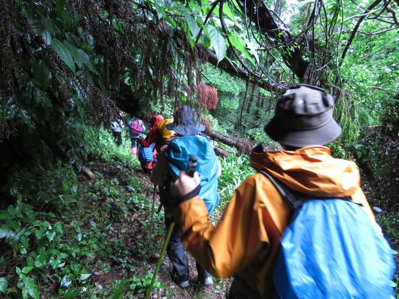 南沢あじさい山登山