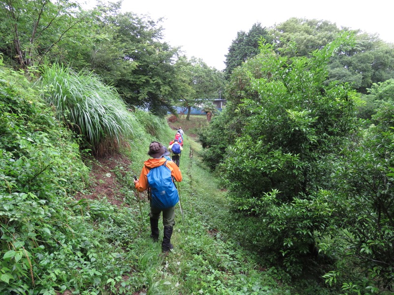 南沢あじさい山登山