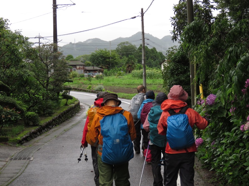 南沢あじさい山登山
