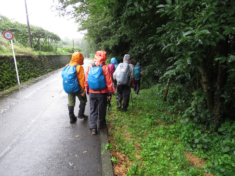 南沢あじさい山登山
