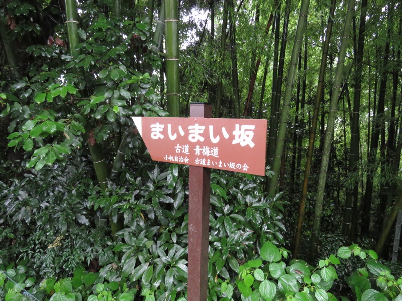南沢あじさい山登山