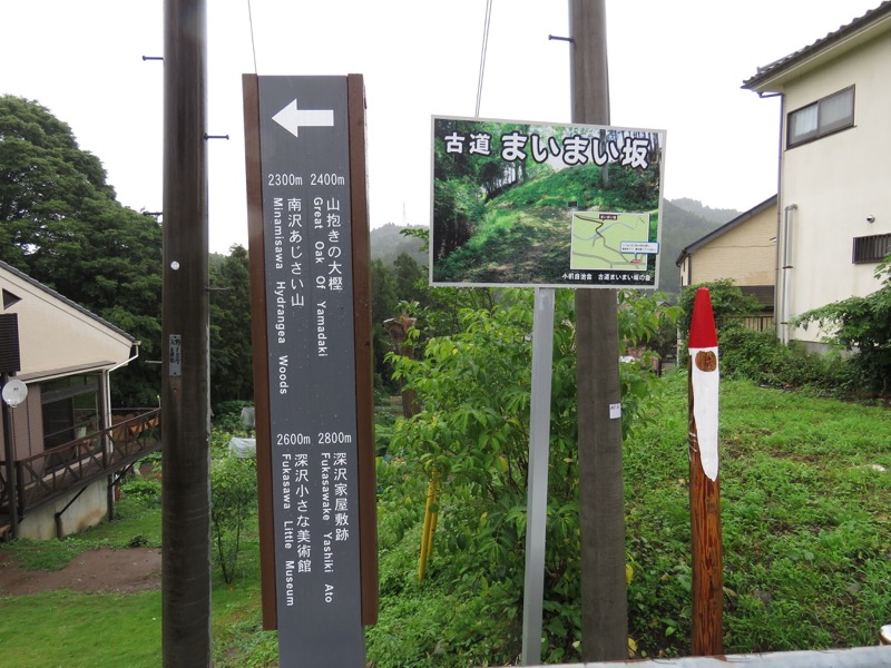 南沢あじさい山登山