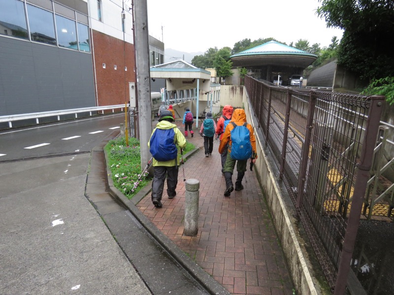 南沢あじさい山登山