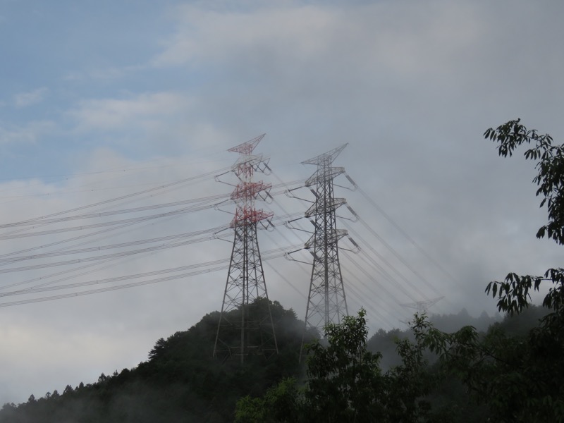 南沢あじさい山登山