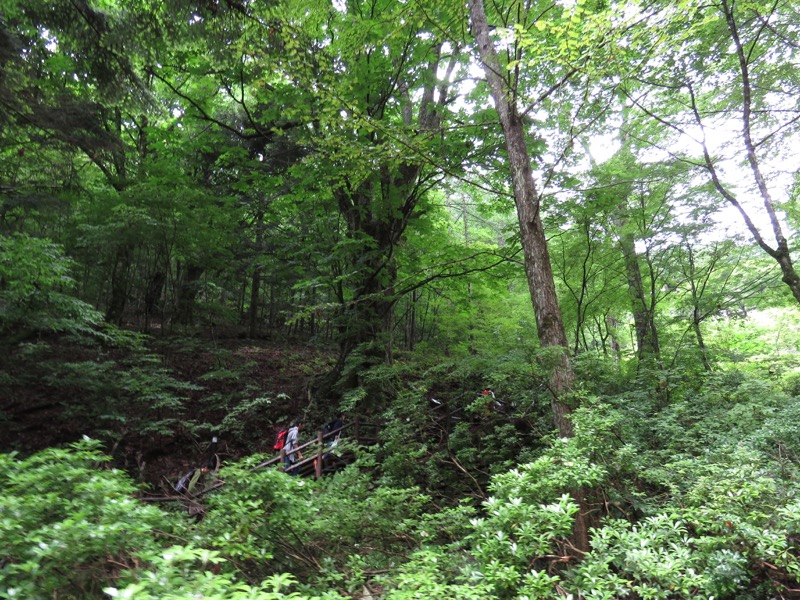 三頭山〜笹尾根