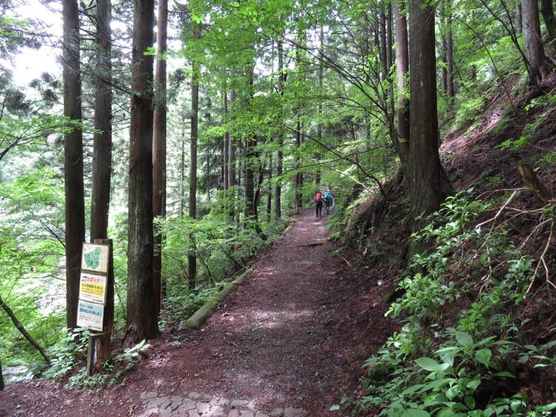 三頭山〜笹尾根