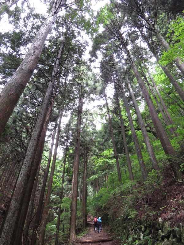 三頭山〜笹尾根