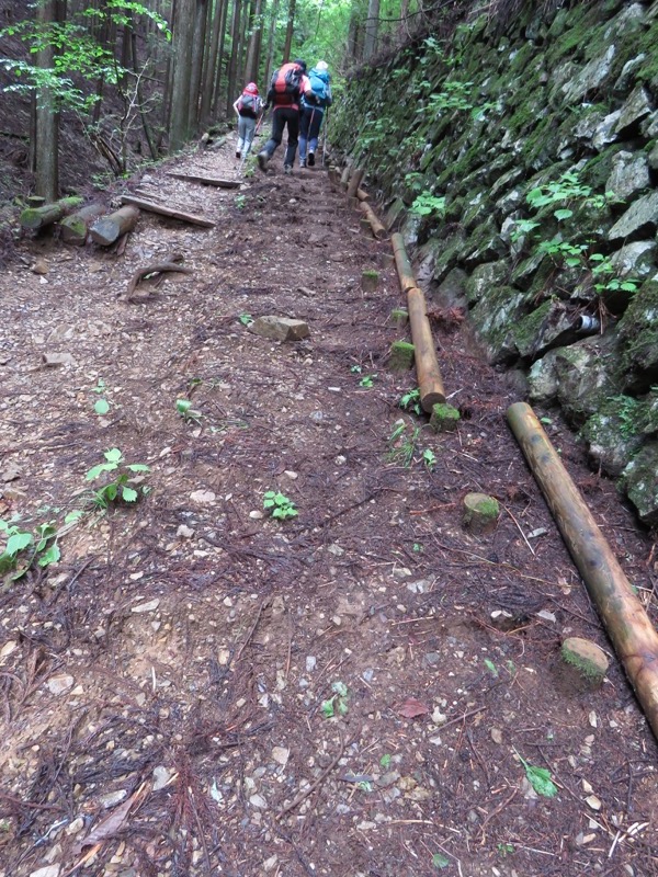 三頭山〜笹尾根