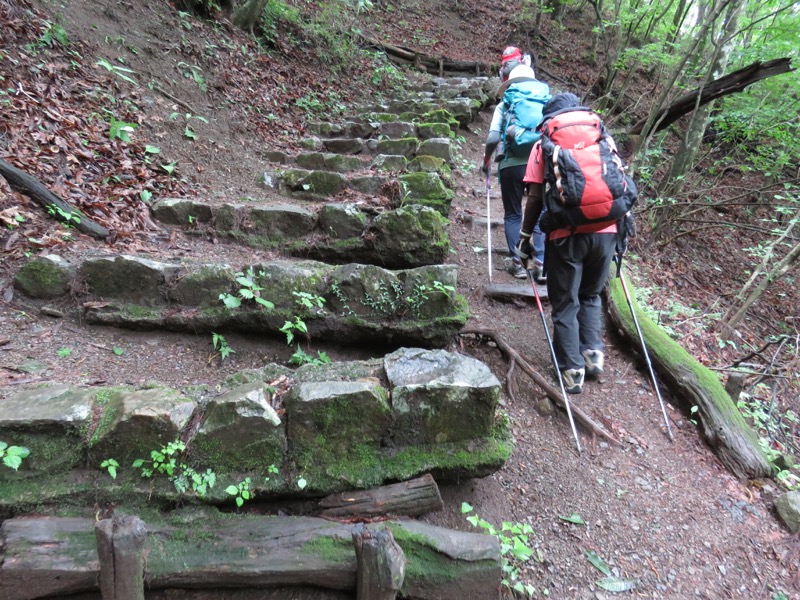 三頭山〜笹尾根