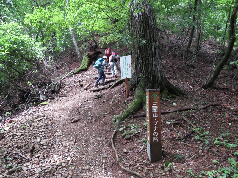 三頭山〜笹尾根