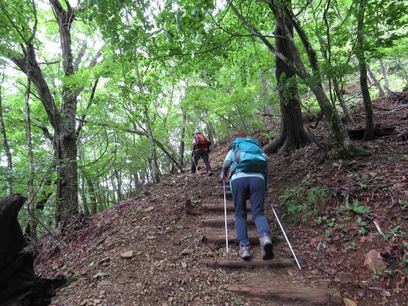 三頭山〜笹尾根