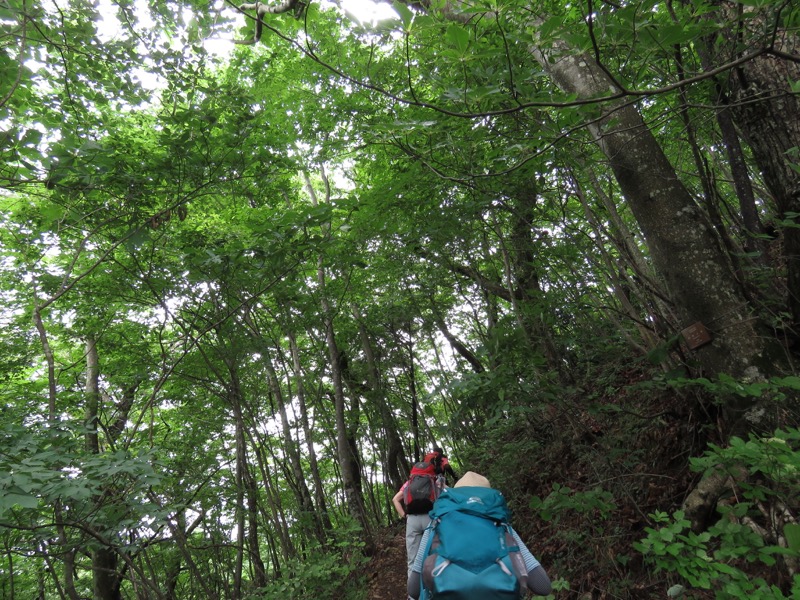 三頭山〜笹尾根