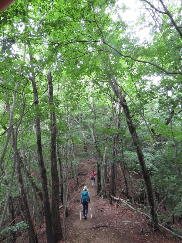 三頭山〜笹尾根