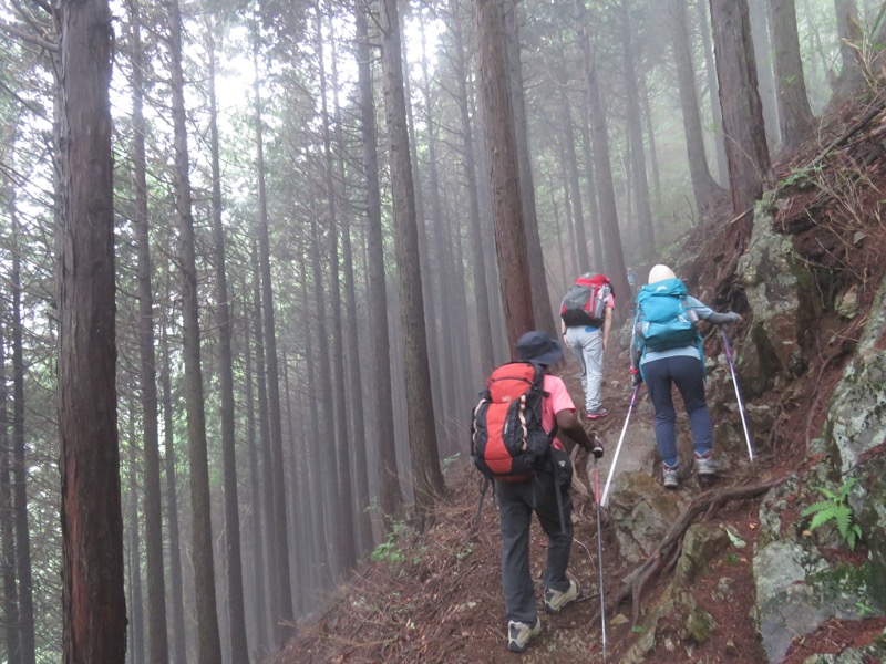 三頭山〜笹尾根