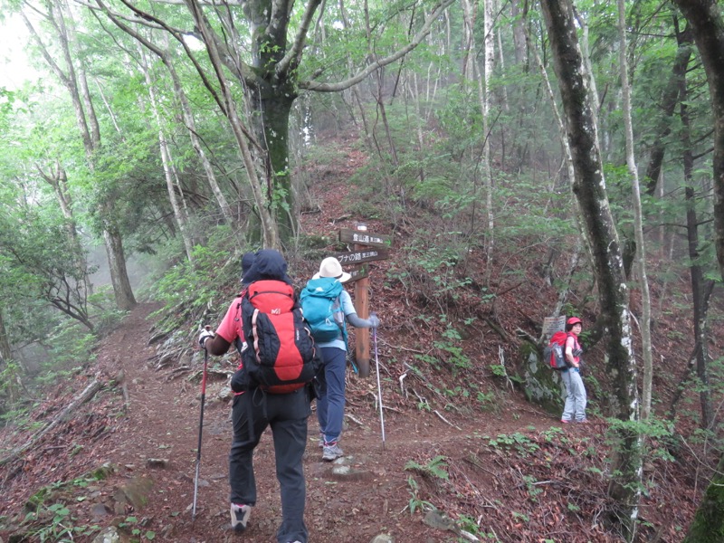 三頭山〜笹尾根