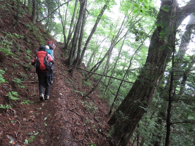 三頭山〜笹尾根