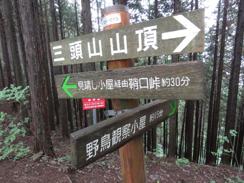 三頭山〜笹尾根