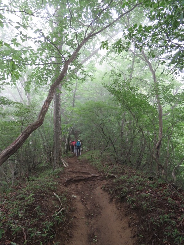 三頭山〜笹尾根