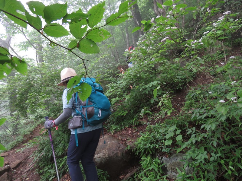 三頭山〜笹尾根