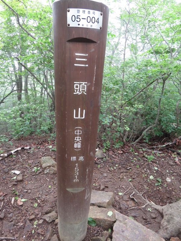 三頭山〜笹尾根