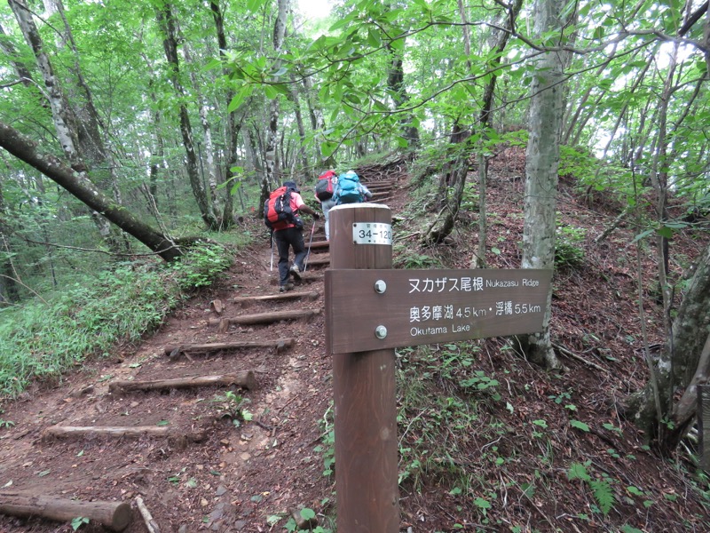 三頭山〜笹尾根