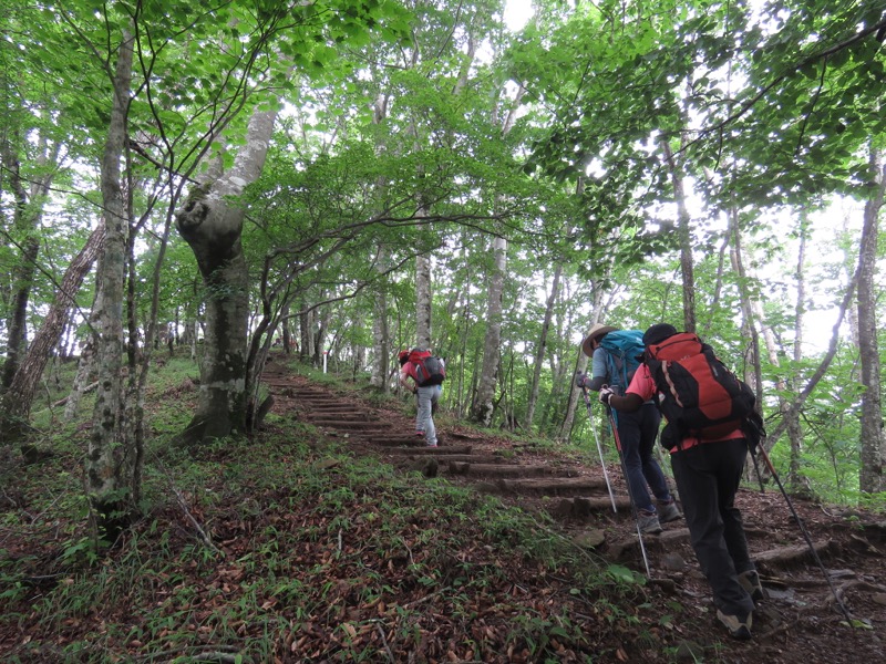 三頭山〜笹尾根