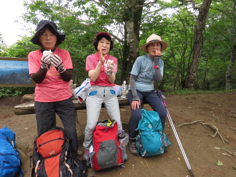 三頭山〜笹尾根