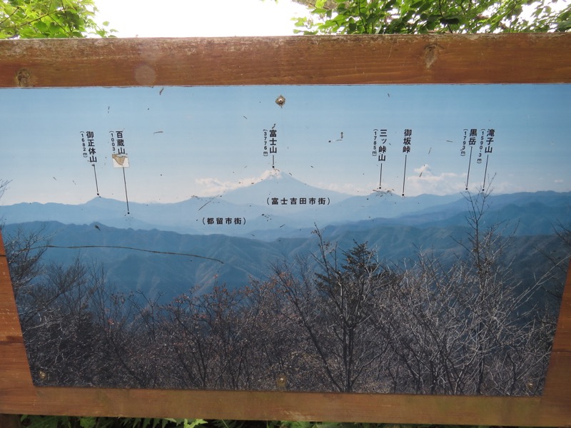 三頭山〜笹尾根