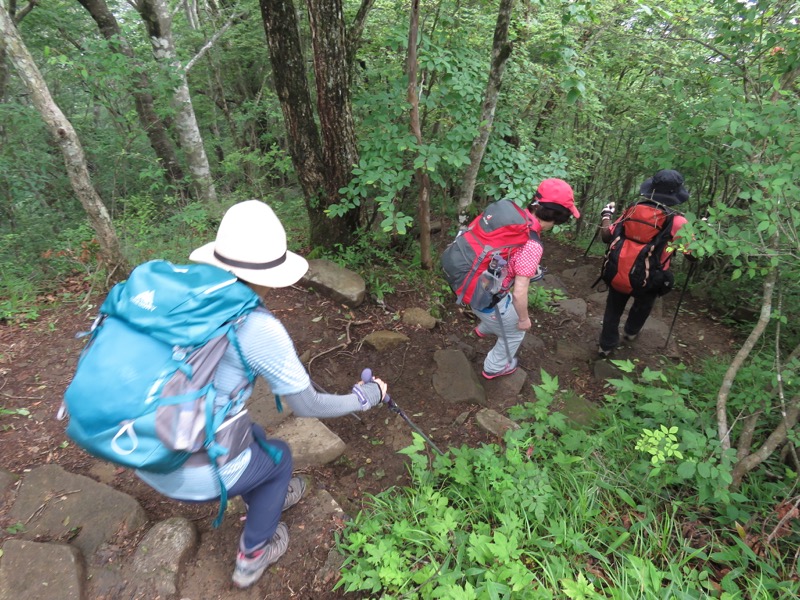 三頭山〜笹尾根