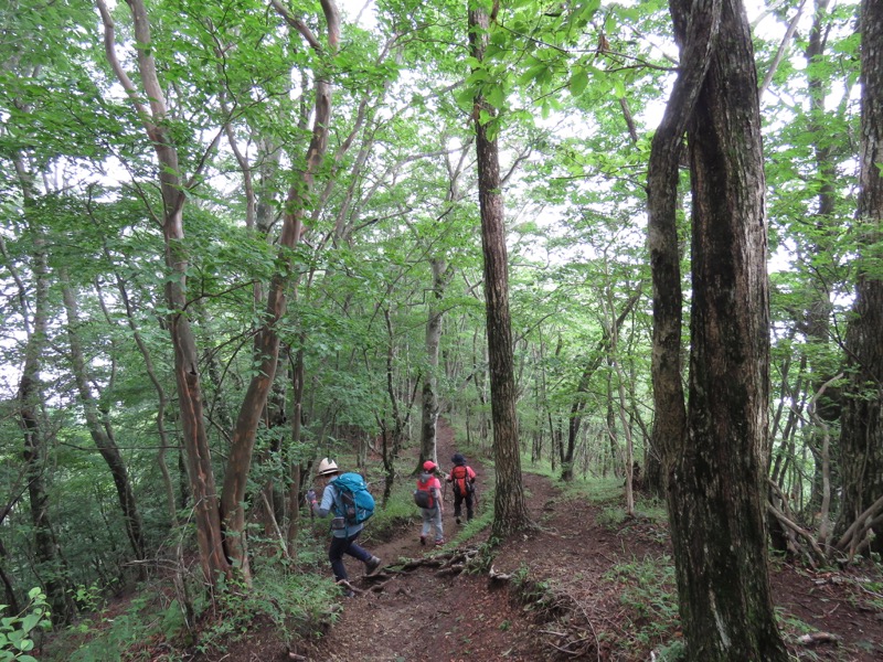 三頭山〜笹尾根