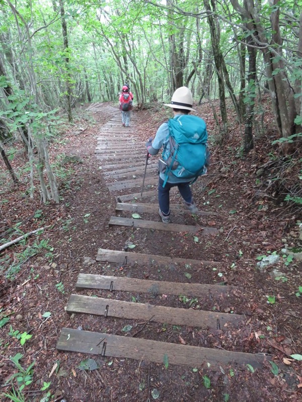 三頭山〜笹尾根