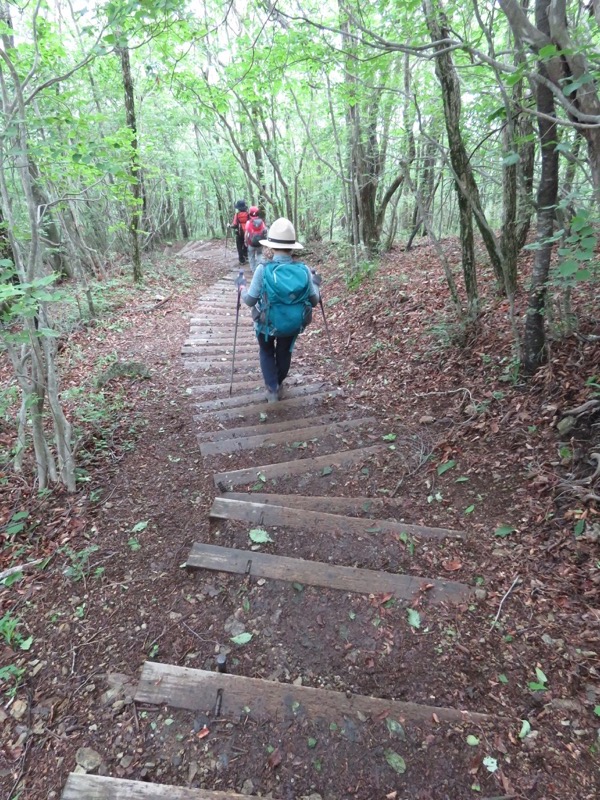 三頭山〜笹尾根