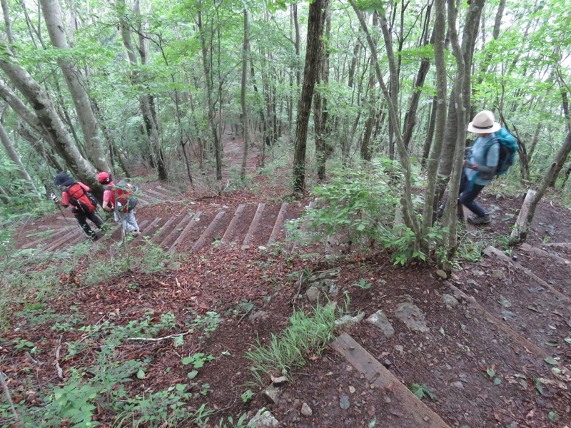 三頭山〜笹尾根