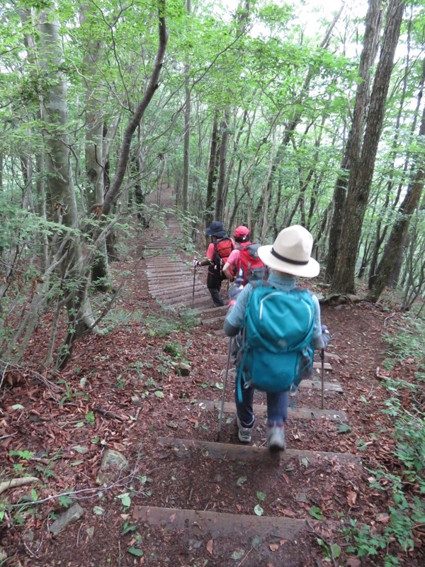 三頭山〜笹尾根