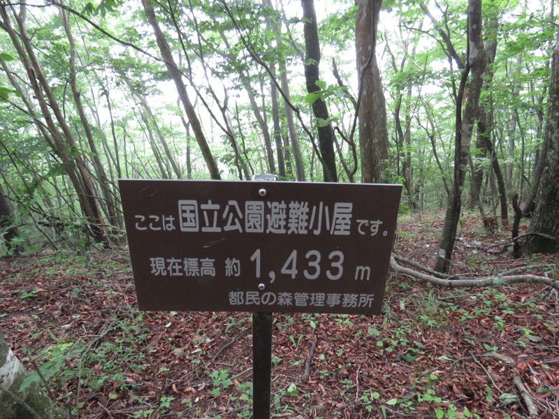 三頭山〜笹尾根