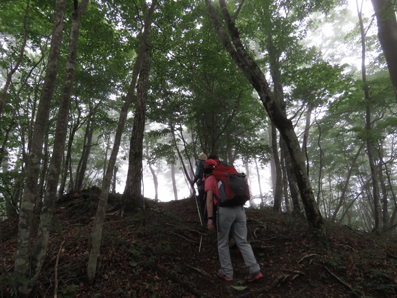 三頭山〜笹尾根