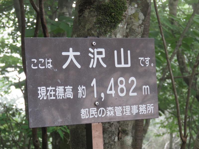 三頭山〜笹尾根