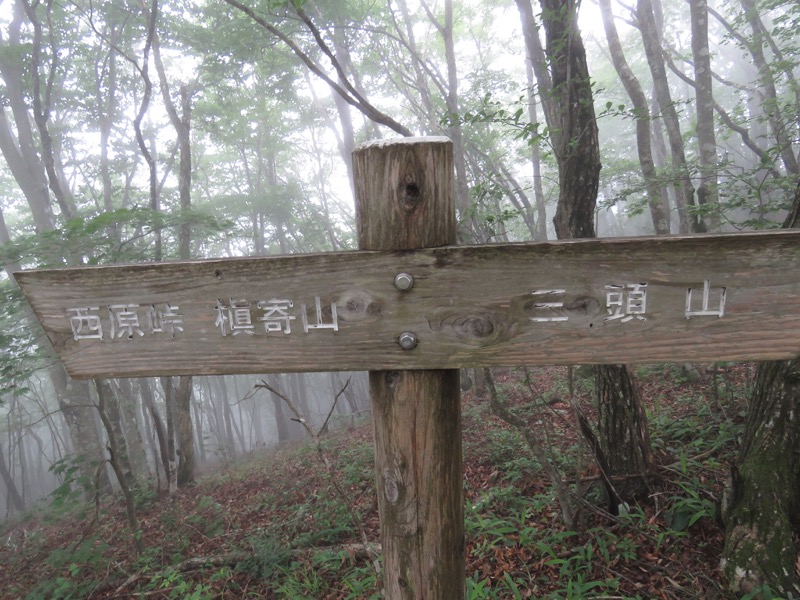 三頭山〜笹尾根