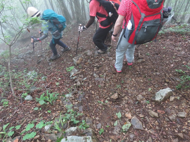 三頭山〜笹尾根