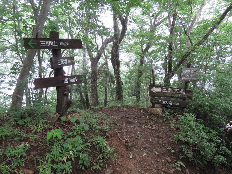 三頭山〜笹尾根