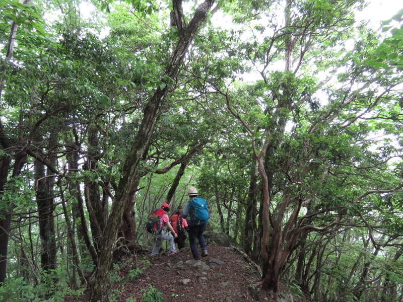 三頭山〜笹尾根