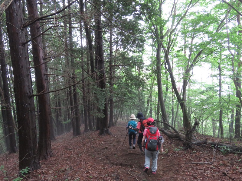 三頭山〜笹尾根