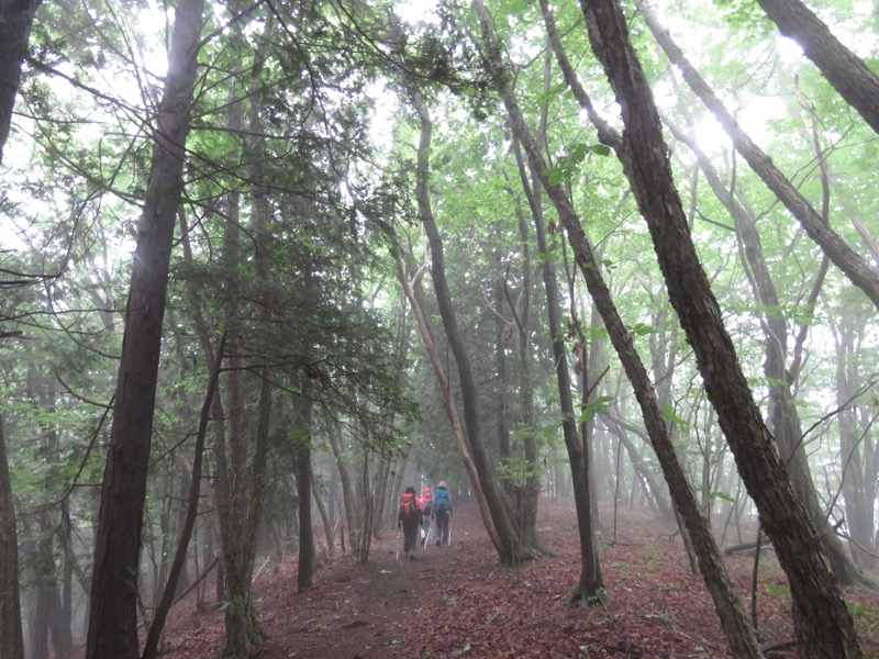 三頭山〜笹尾根